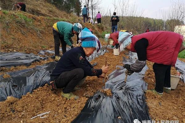 施秉县人民政府网