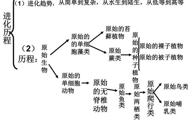 生命起源的过程