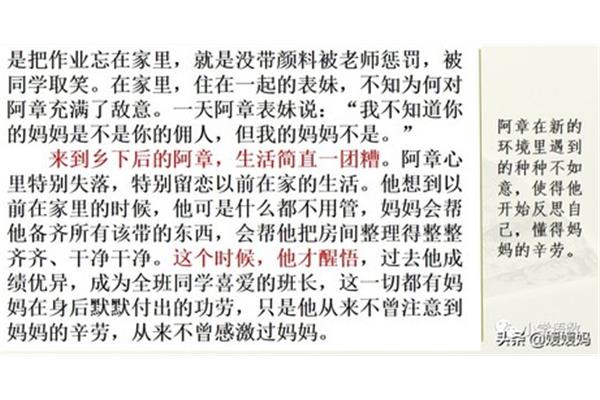 第五单元的作文