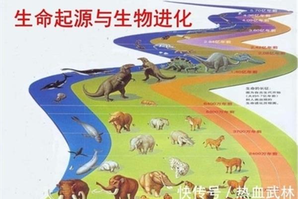 生命起源的过程