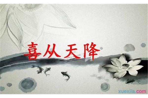 爱好跳伞打一成语