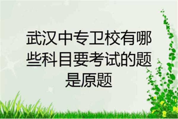 一年上多少天班