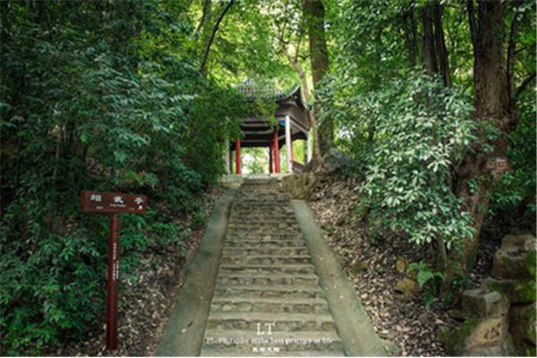 寒山石径斜
