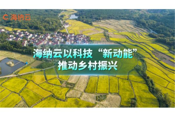 乡村振兴工作方案