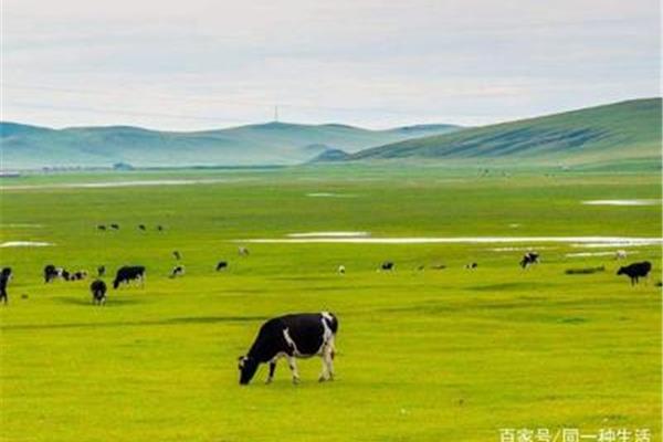 大草原旅游景点
