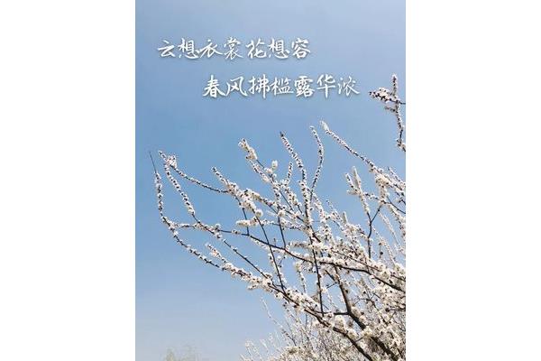 满川风雨看潮生