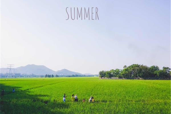 夏天过去了