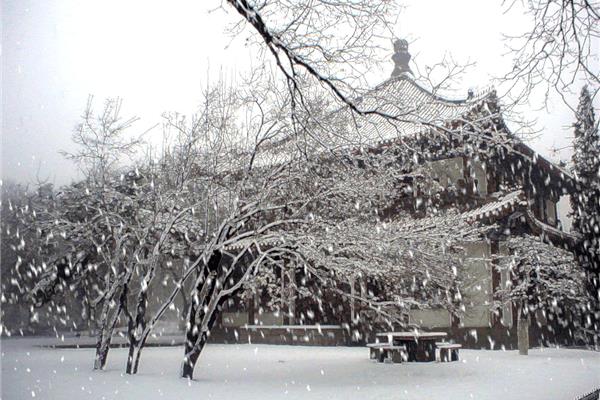 下雪的时候