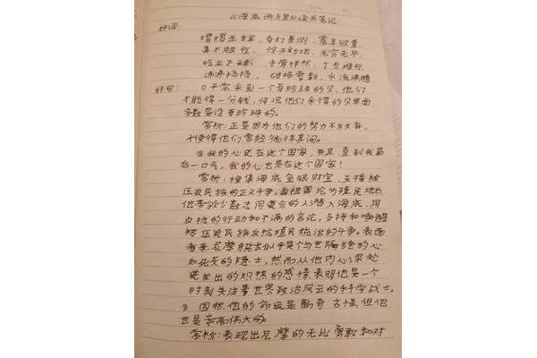 骆驼祥子的观后感