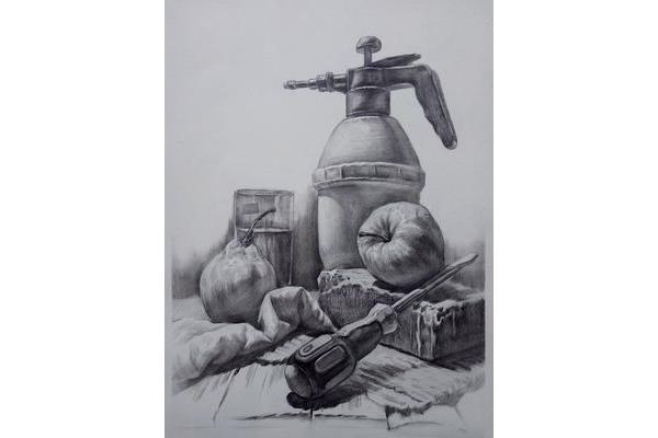 素描静物图片