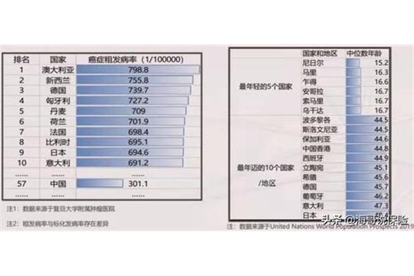 中位数是什么意思