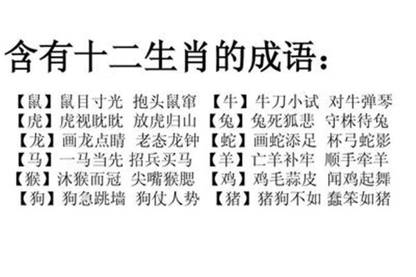 神态的四字成语