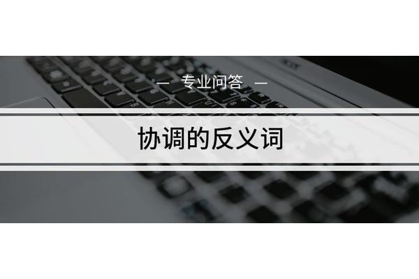 协调反义词