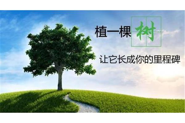 长成一棵树