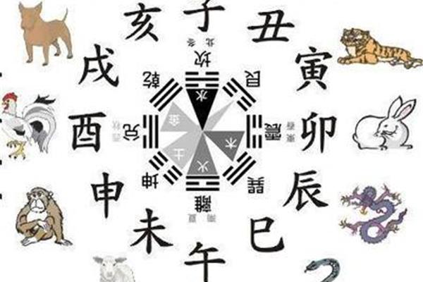 12生肖顺口溜