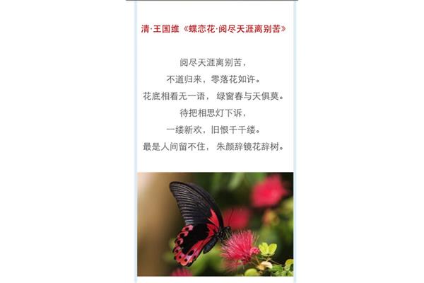 王国维蝶恋花