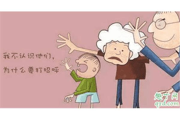 是对还是错