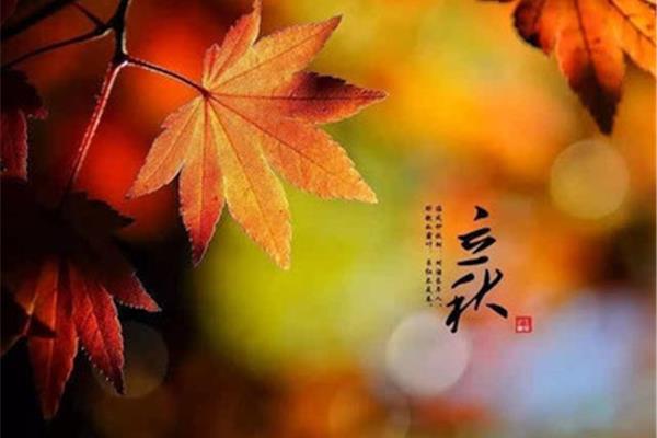 表示季节的成语
