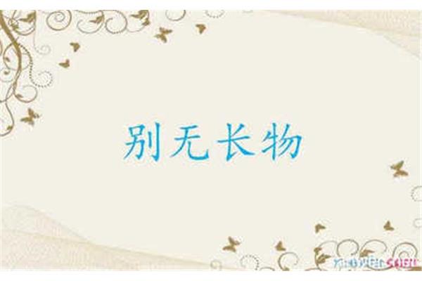 别无长物造句