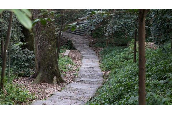 寒山石径斜