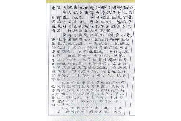 什么的魅力作文