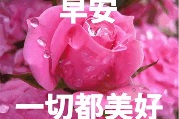 早上的问候