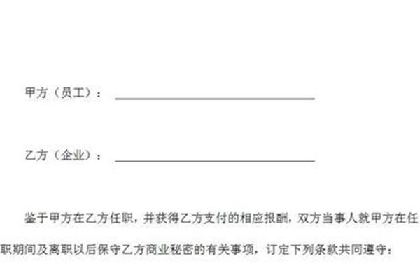 技术协议简单模板