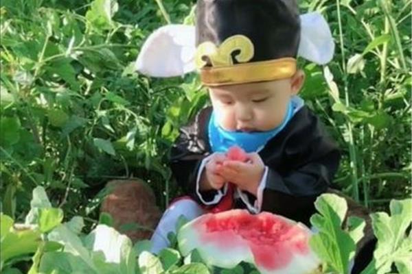 小孩草大人