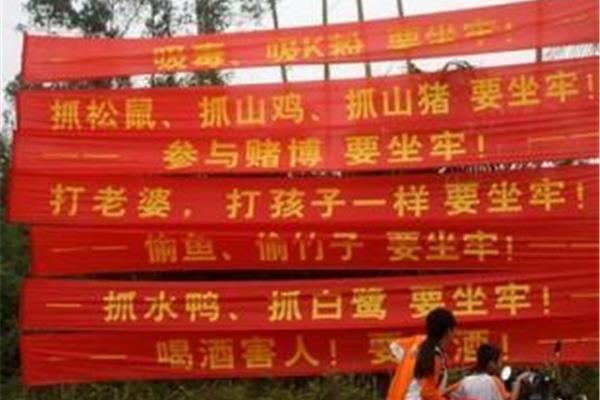普法宣传标语