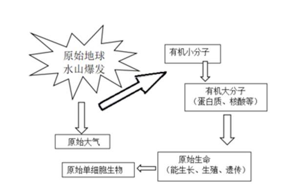 生命起源的过程