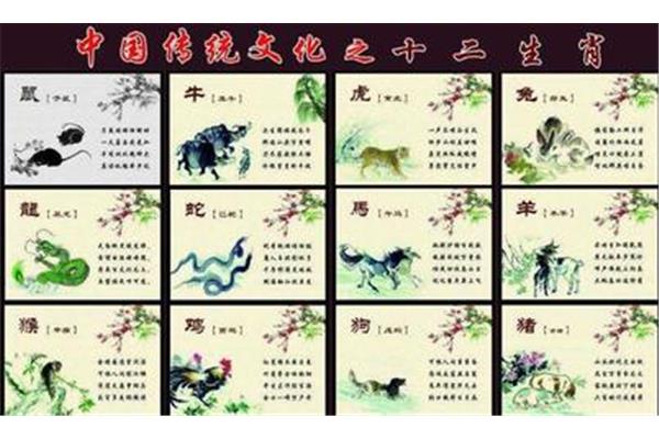 12生肖顺口溜