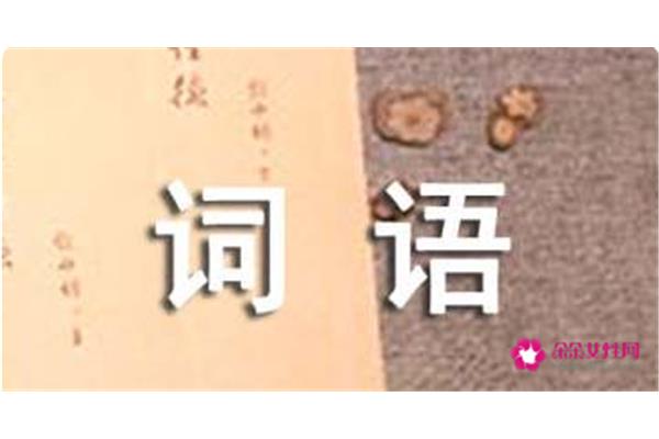 形容胖的成语