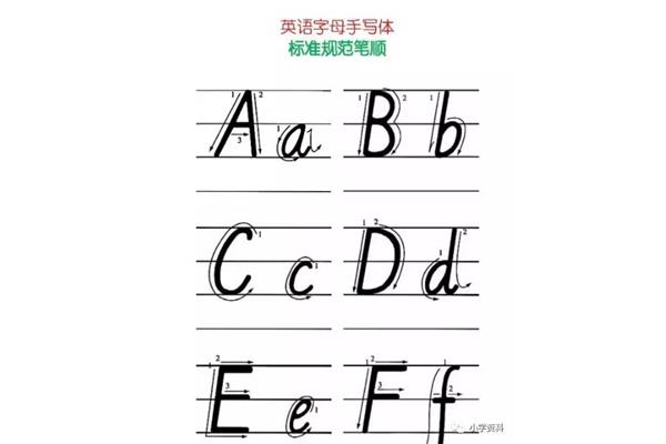 d的正确写法