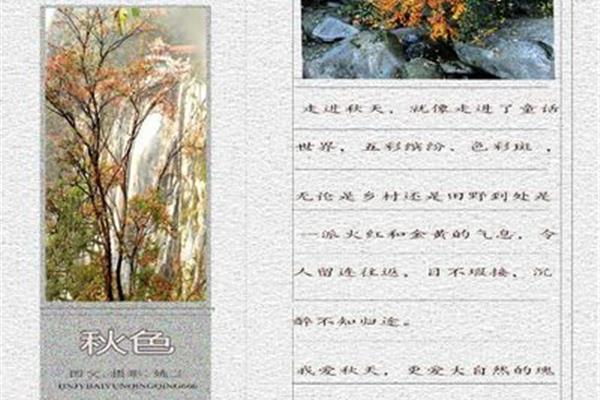 断续寒砧断续风