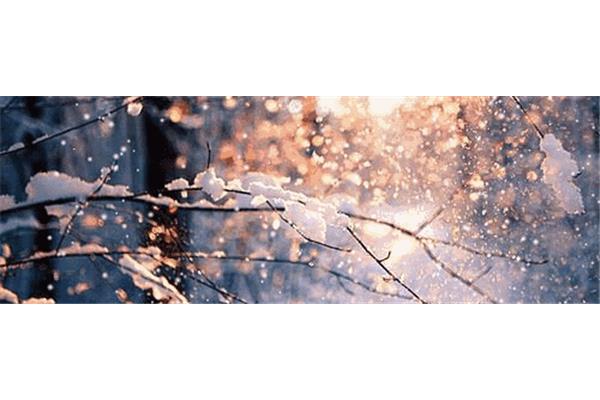 下雪的时候