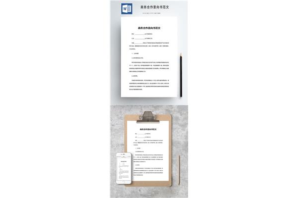 商务合作意向书