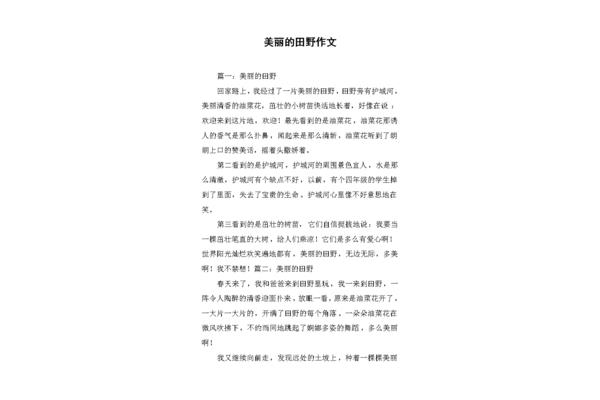 美丽的田野作文