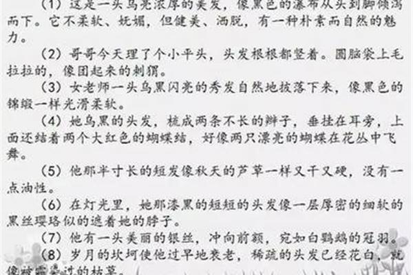 外貌描写的段落