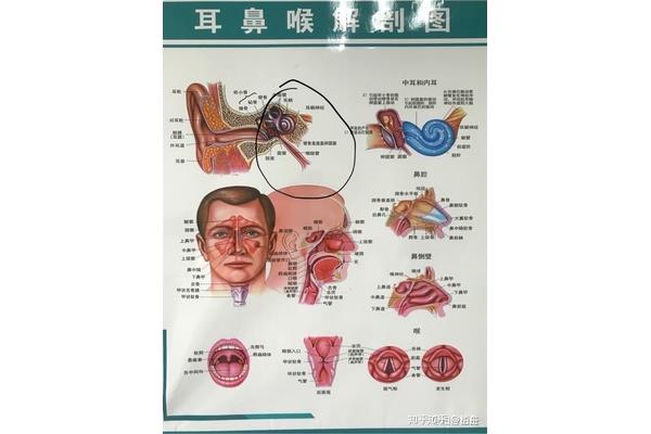 唾液腺堵塞症状