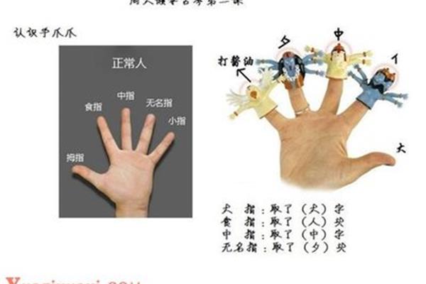 分清左手右手图片