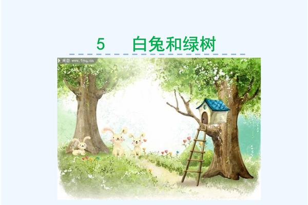 长高的拼音