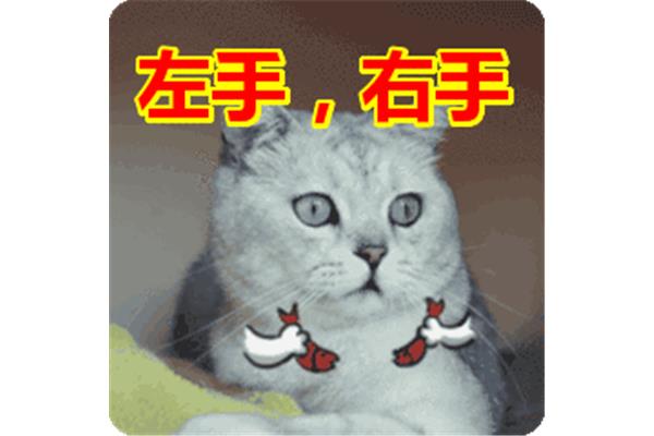 分清左手右手图片