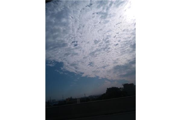 早起浮云走