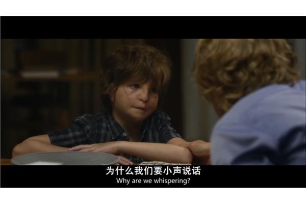 奇迹男孩简介