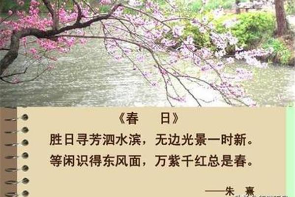 美丽的诗句
