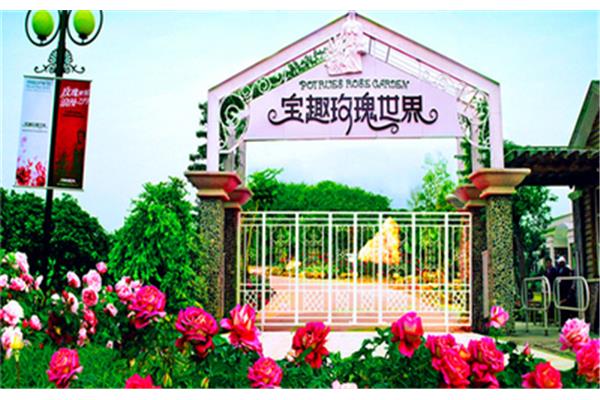 宝趣玫瑰世界