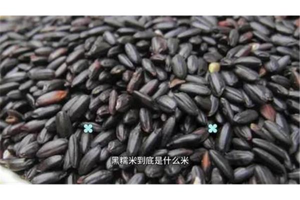 血糯米是什么米