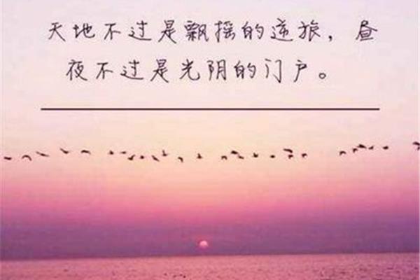 一个人的句子