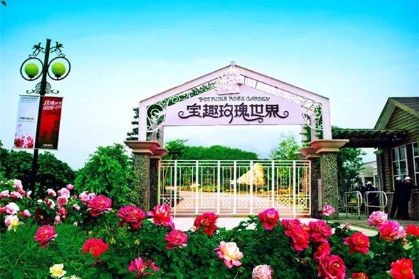 宝趣玫瑰世界