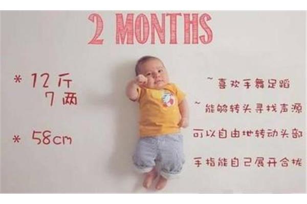 两个月婴儿体重